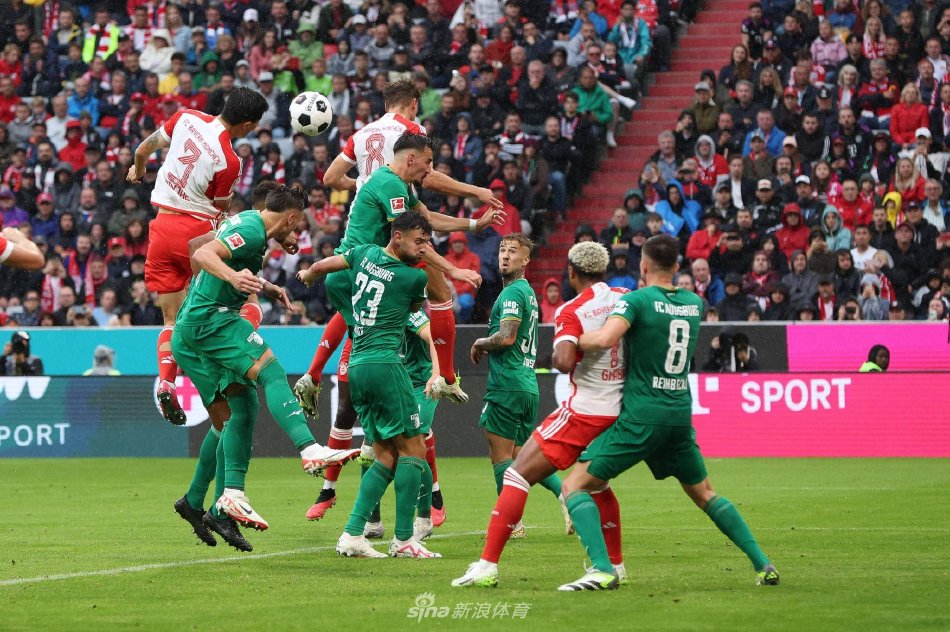 和顽强的拼 和顽强的拼